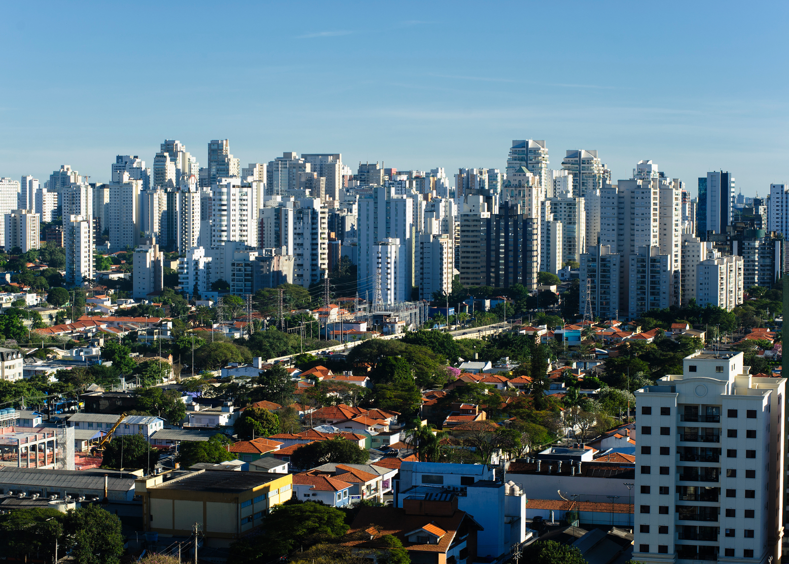 O Poder da Curadoria Imobiliária